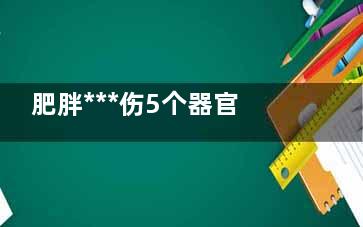 肥胖***伤5个器官 警惕5种容易发胖的食物,肥胖带来的八大危害